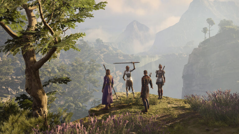 Baldur's Gate 3 Companions Overlook Vista