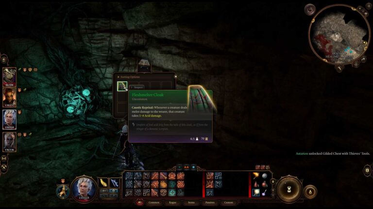 Baldur's Gate 3 Fleshmelter Cloak thumbnail