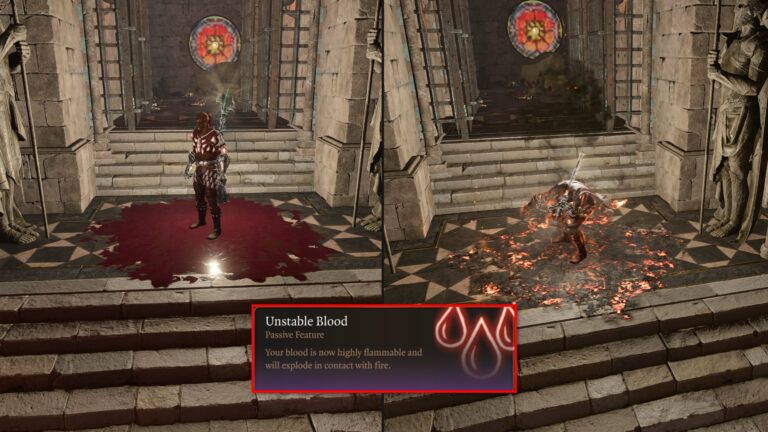 BG3 How to Get Unstable Blood