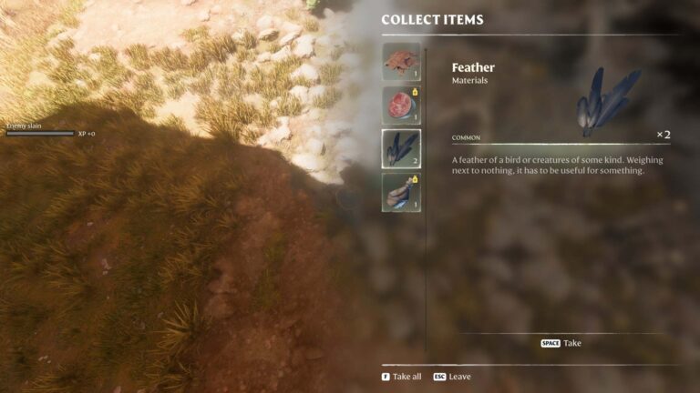 Enshrouded Feather in game tooltip